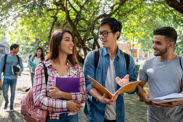 course enrolment brazil